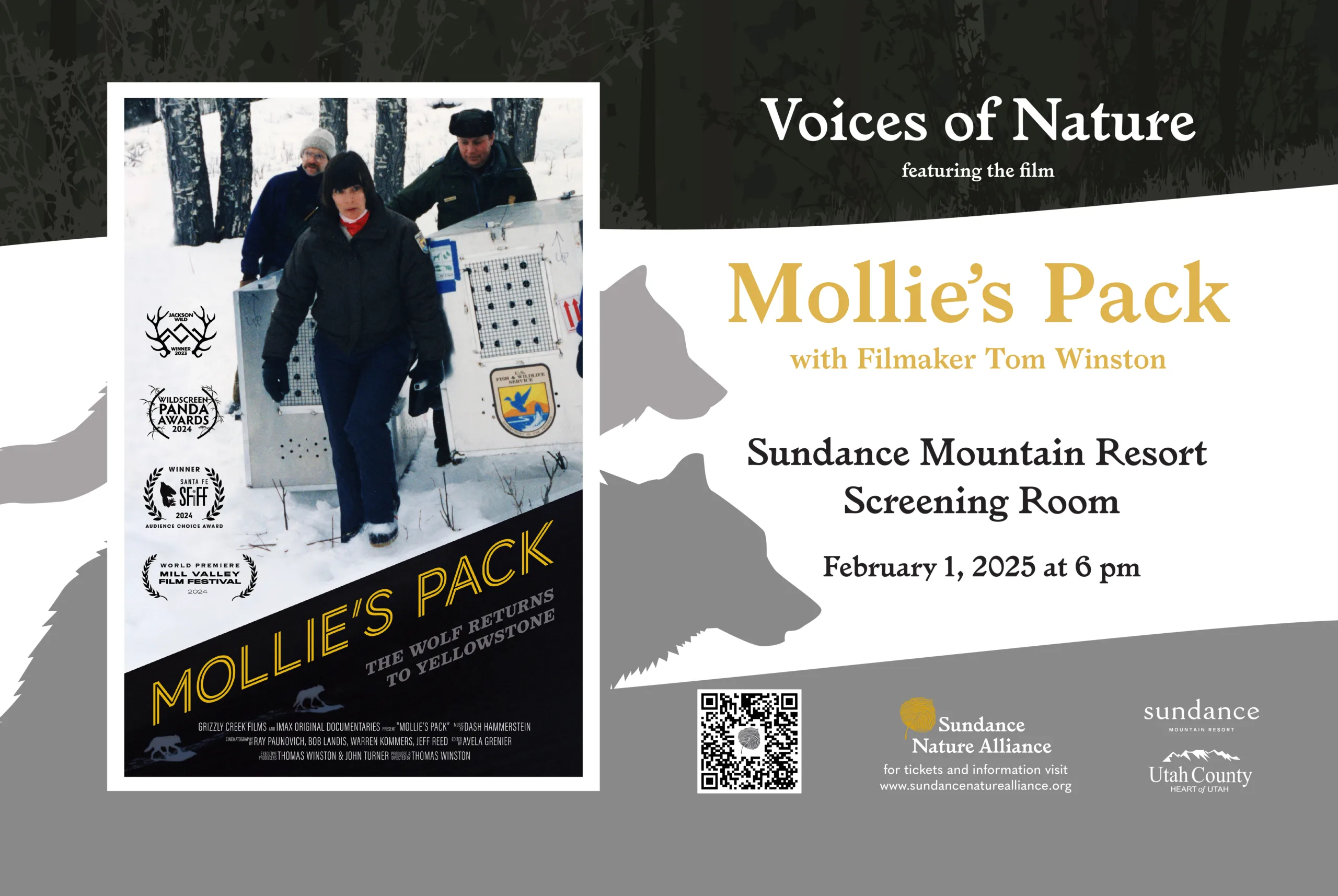 Promotional poster for the film "Mollie's Pack" featuring a person in winter clothing with wolves in a snowy landscape. Includes details of a screening event on February 1, 2023, at the Sundance Mountain Resort Screening Room. Logos are visible.